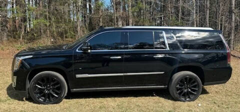 2020 Cadillac Escalade ESV for sale at Georgia Super Cars in Cumming GA