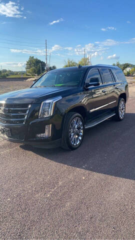 2015 Cadillac Escalade for sale at Absolute Auto Deals in Barnhart MO