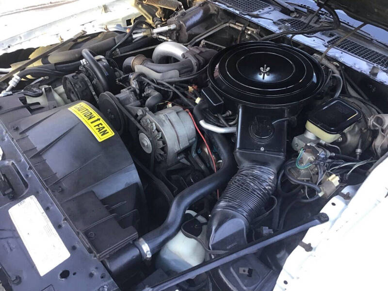 1981 Pontiac Firebird Trans Am