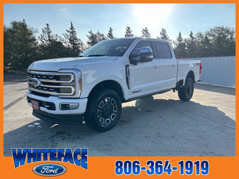 2024 Ford F-250 Super Duty for sale at Whiteface Ford in Hereford TX