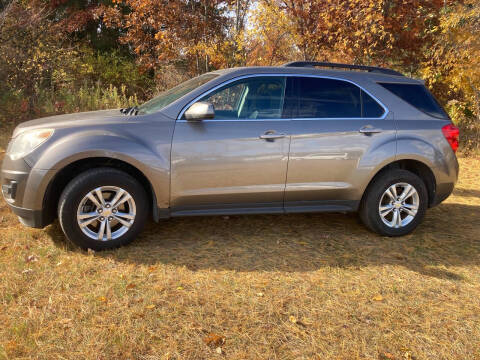 2010 Chevrolet Equinox for sale at Expressway Auto Auction in Howard City MI