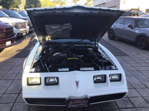 1981 Pontiac Firebird Trans Am
