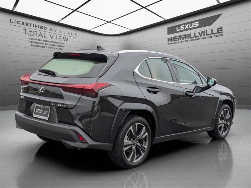 2025 Lexus UX 300h Premium