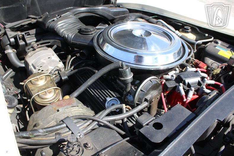 1981 Chevrolet Corvette