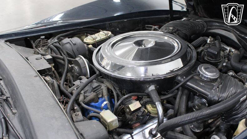 1981 Chevrolet Corvette