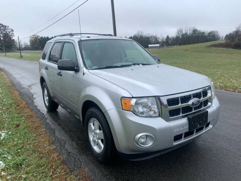 2010 Ford Escape for sale at Marvini Auto in Hudson NY