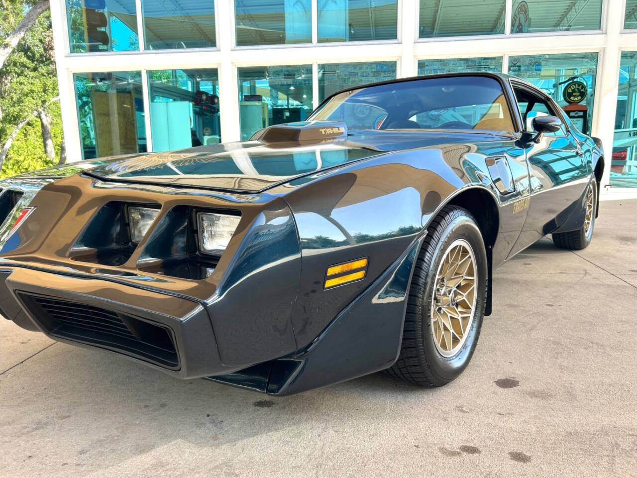 1981 Pontiac Firebird 13