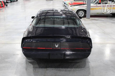 1981 Pontiac Firebird Trans Am