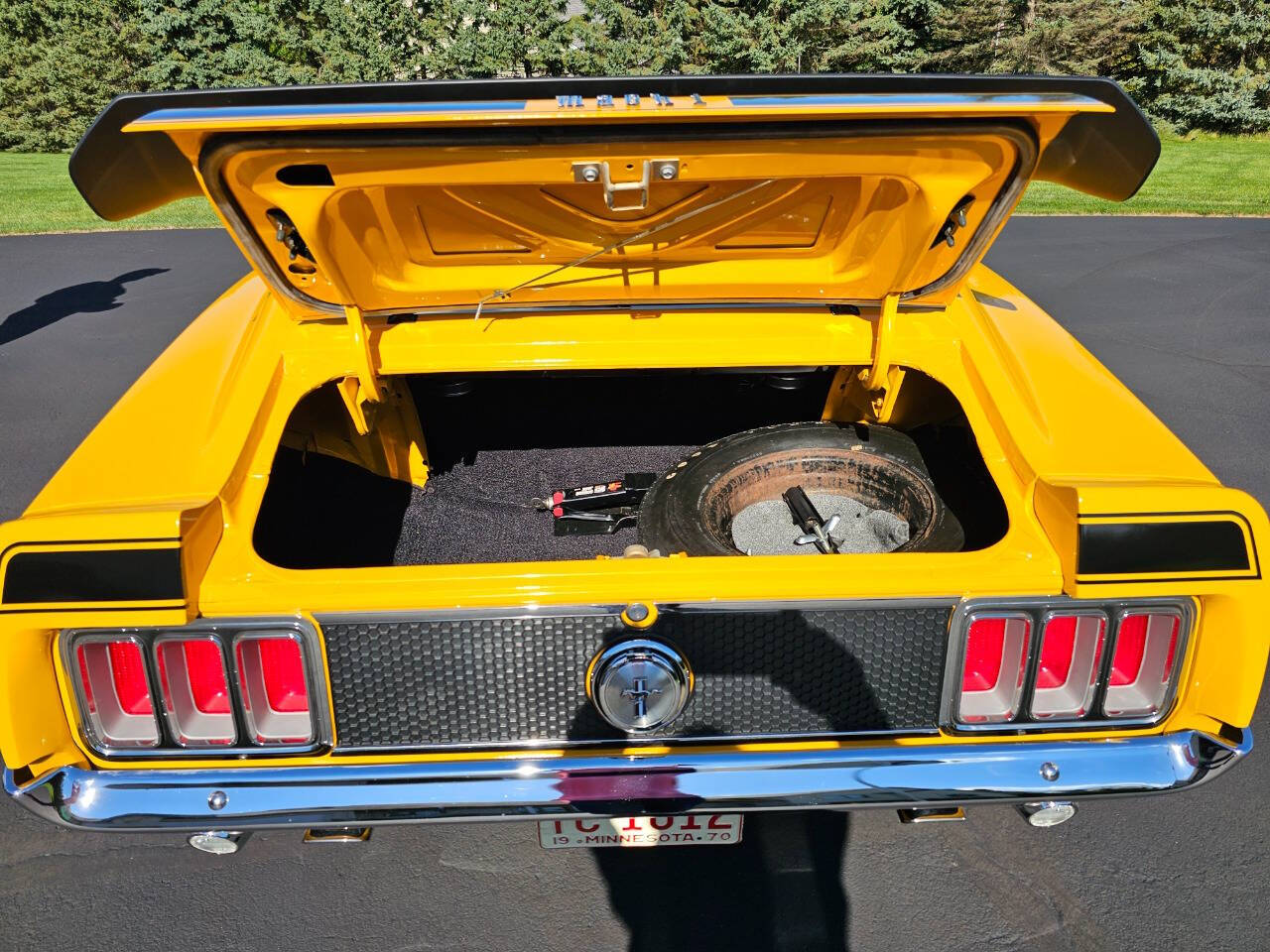 1970 Ford Mustang 234