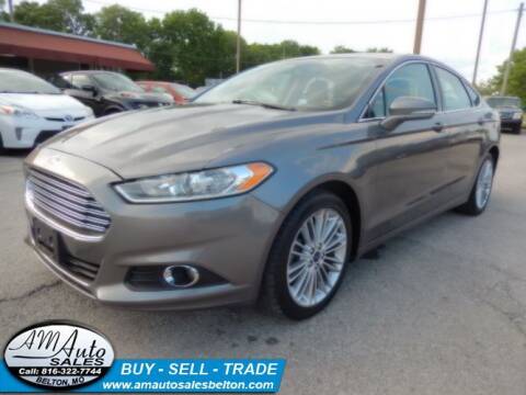 2014 Ford Fusion for sale at A M Auto Sales in Belton MO