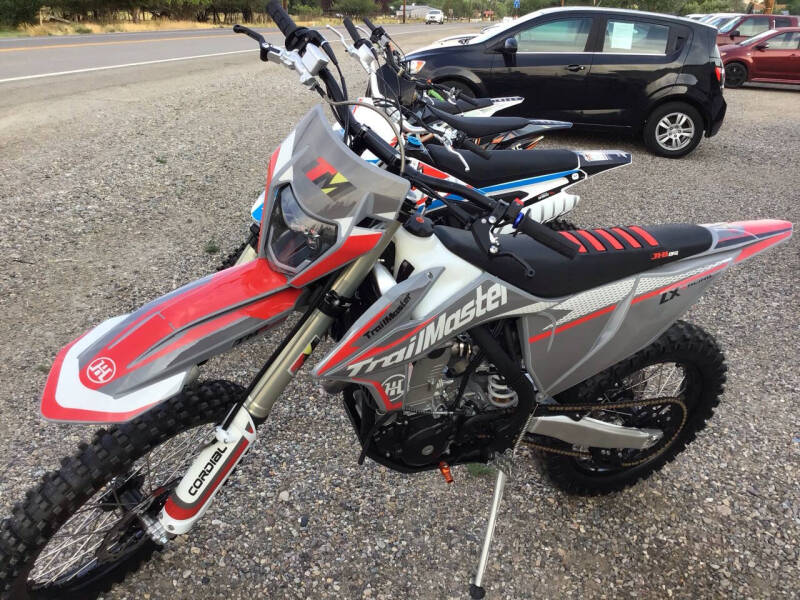 2025 TrailMaster LX 300 Pro