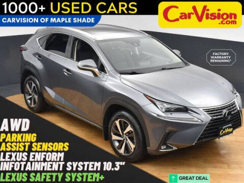 2021 Lexus NX 300 for sale at Car Vision of Trooper in Norristown PA