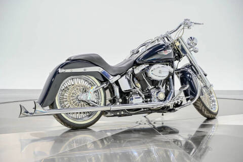 2009 Harley-Davidson FLTSN