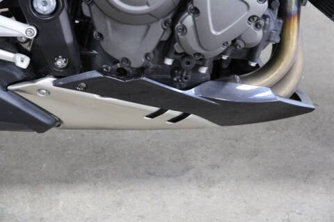 2022 Triumph Speed Trip