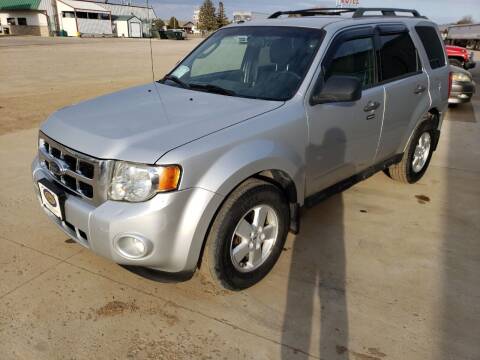 2010 Ford Escape for sale at BERG AUTO MALL & TRUCKING INC in Beresford SD