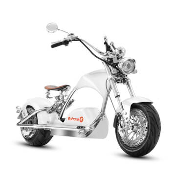 2023 EAHORA E MOTORCYCLES M1PS for sale at TEXAS MOTORS POWERSPORT in Orlando FL