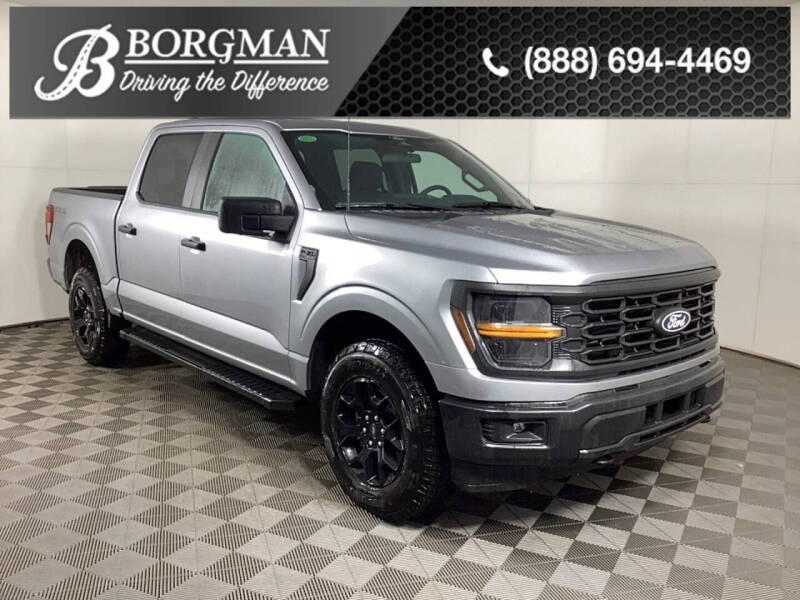 2024 Ford F-150 for sale at BORGMAN OF HOLLAND LLC in Holland MI