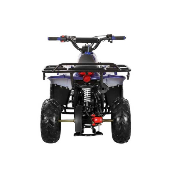 2025 Coolster 110cc 3050c