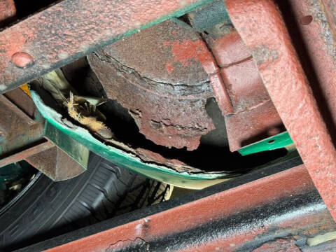 1954 Chevrolet C/K 20 Series