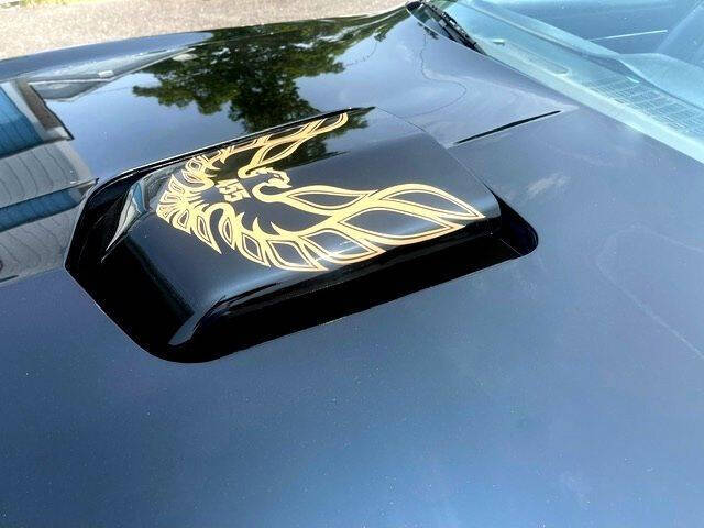1981 Pontiac Trans Am