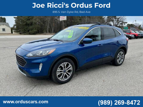 2022 Ford Escape for sale at Joe Ricci's Ordus Ford in Bad Axe MI