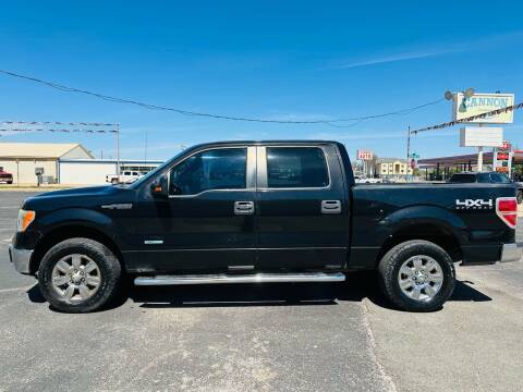 2012 Ford F-150 for sale at Pioneer Auto in Ponca City OK