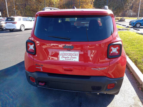 2019 Jeep Renegade Trailhawk
