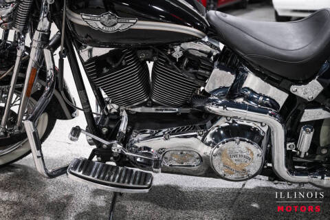 2003 Harley-Davidson FLSTS