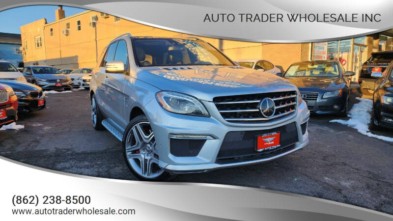 2013 Mercedes-Benz M-Class for sale at Auto Trader Wholesale Inc in Saddle Brook NJ