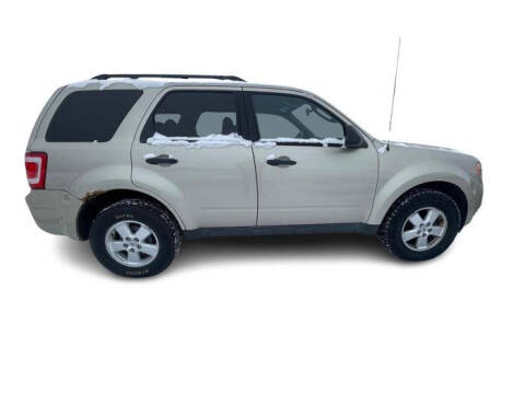 2010 Ford Escape XLT