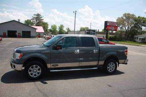 2013 Ford F-150 for sale at Schmitz Motor Co Inc in Perham MN