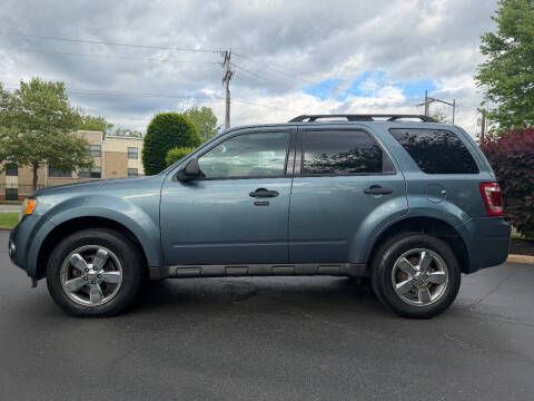 2011 Ford Escape XLT