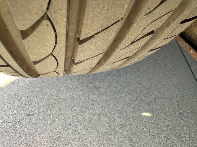 1986 Alfa Romeo Spider Veloce