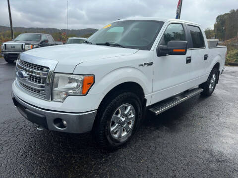 2014 Ford F-150 for sale at Pine Grove Auto Sales LLC in Russell PA