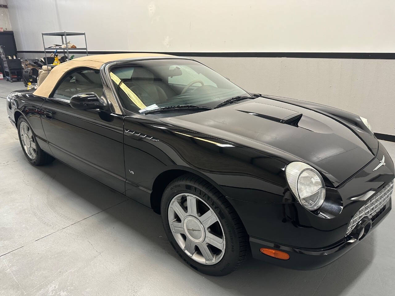 2004 Ford Thunderbird for sale at EUROPEAN MOTORCARS OF TAMPA in Tampa, FL