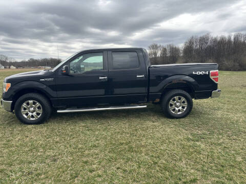 2011 Ford F-150 for sale at Wendell Greene Motors Inc in Hamilton OH