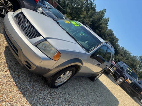 2005 Ford Freestyle SE