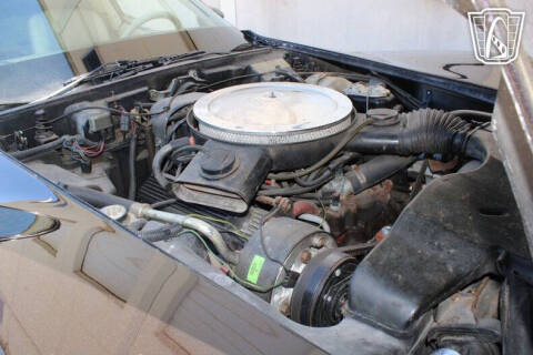 1979 Chevrolet Corvette
