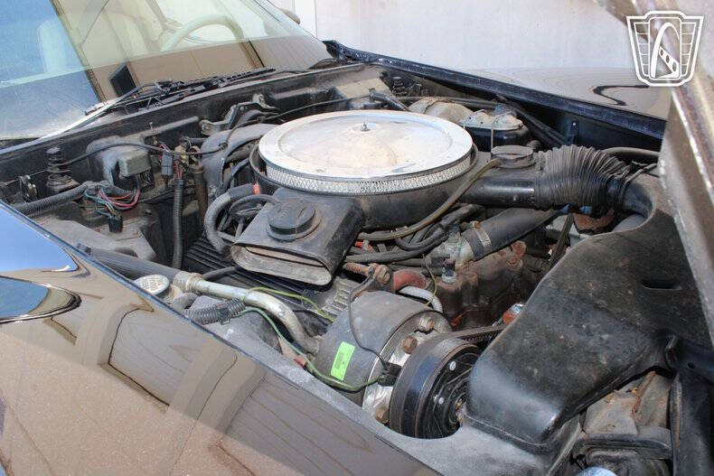 1979 Chevrolet Corvette