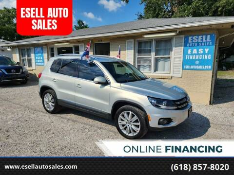2014 Volkswagen Tiguan for sale at ESELL AUTO SALES in Cahokia IL