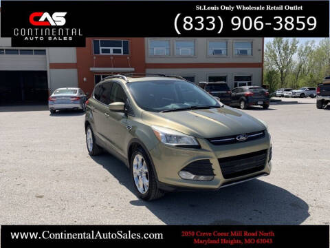 2013 Ford Escape for sale at Fenton Auto Sales in Maryland Heights MO