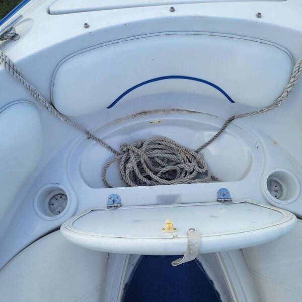 1996 Chris-Craft 18.5 Concept