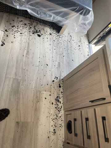 2025 Coleman COLEMAN LIGHT