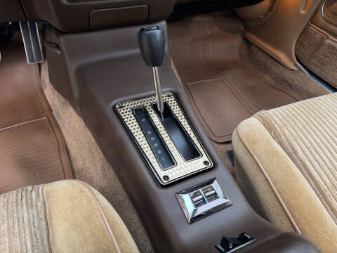 1981 Pontiac Firebird Trans Am