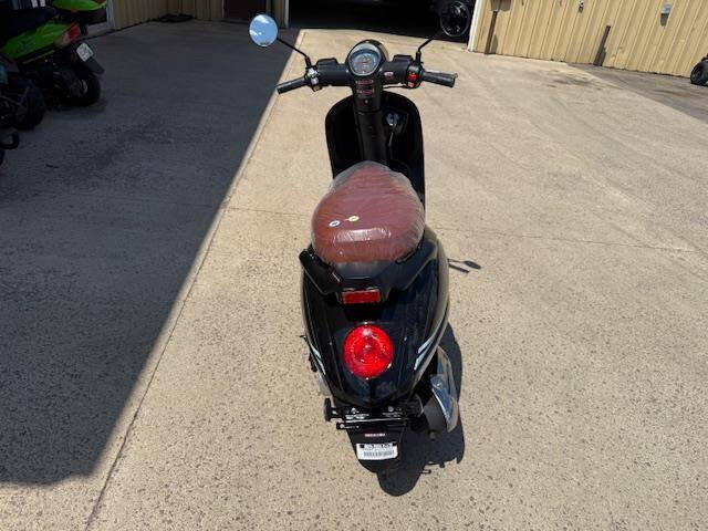 2025 Icebear Ascend Bella