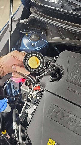 2025 Kia Niro SX Touring