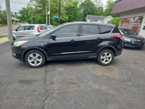 2013 Ford Escape for sale at Maximum Auto Group II INC in Cortland OH