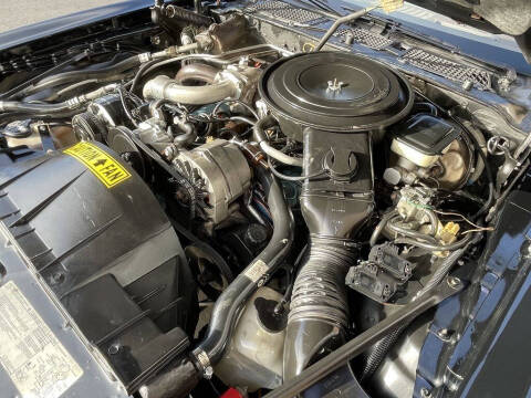 1981 Pontiac Firebird Trans Am