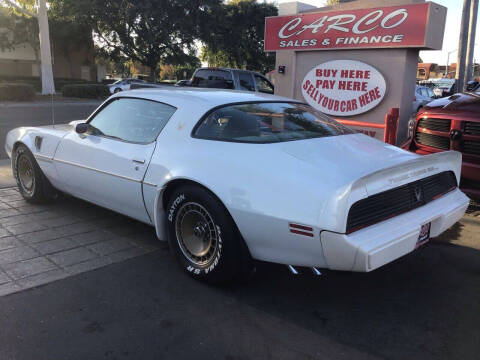 1981 Pontiac Firebird Trans Am