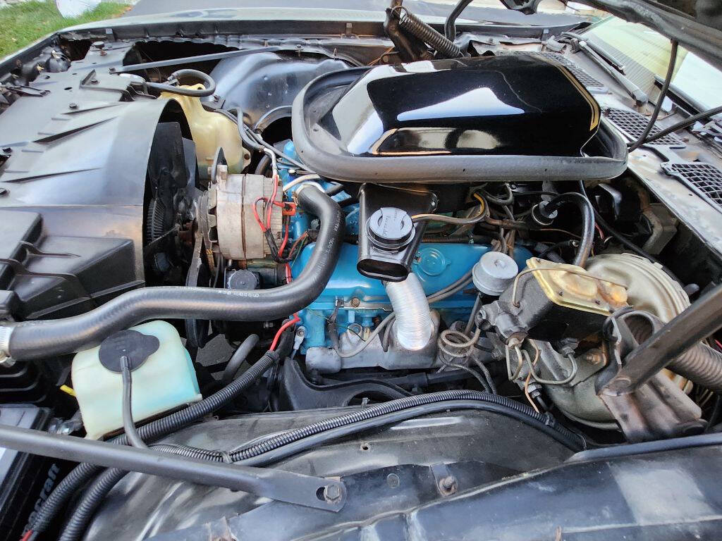 1979 Pontiac Trans Am for sale at Professional Sales Inc in Bensalem, PA